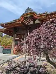 慈恩寺(埼玉県)