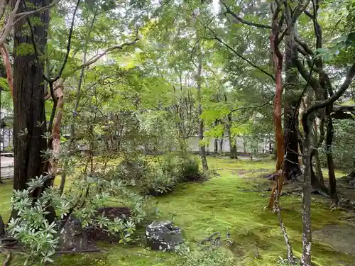 蓮華寺（洛北蓮華寺）(京都府)