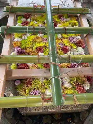 多賀大社の手水舎