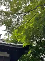 三八城神社の自然