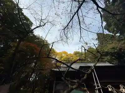 磐椅神社(福島県)