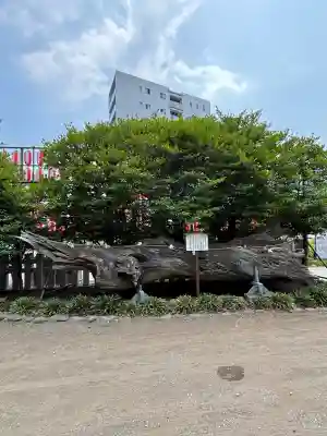 瀬戸神社(神奈川県)