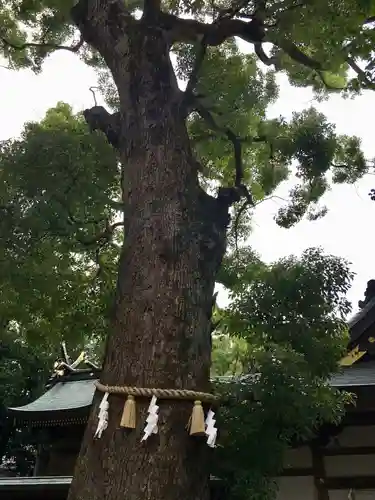 梶無神社の自然