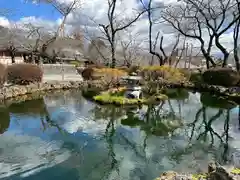 富士山本宮浅間大社(静岡県)