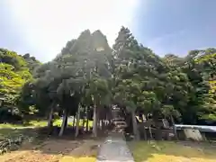 得良神社(福井県)