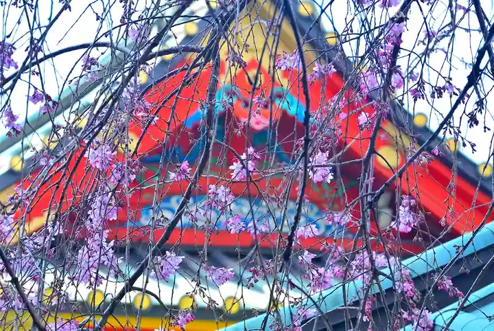 神田神社(神田明神)の自然