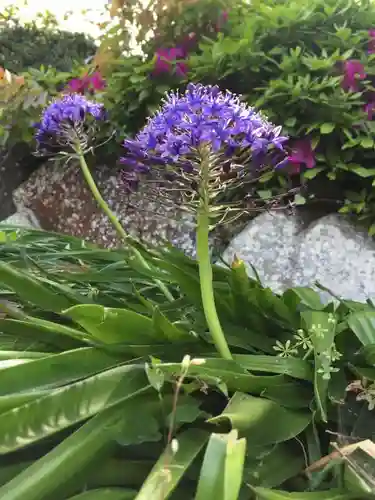 荒神神社の自然