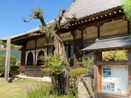 長念寺の本殿・本堂