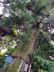 石山寺(滋賀県)