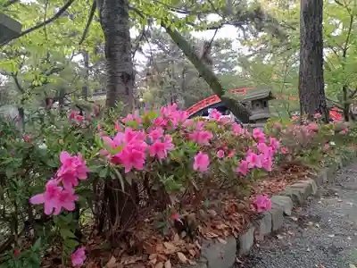 住吉大社(大阪府)