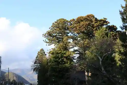 高司神社〜むすびの神の鎮まる社〜の景色