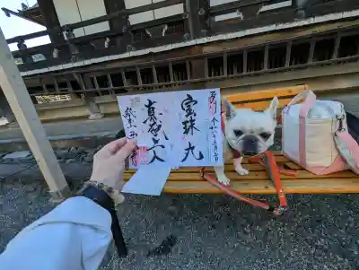 西教寺の御朱印