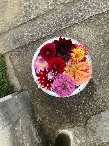 岡寺（龍蓋寺）(奈良県)