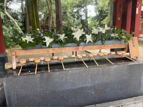 武蔵一宮氷川神社(埼玉県)