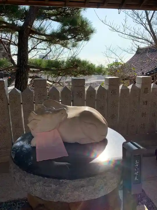 北野天満神社の狛犬