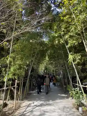 來宮神社(静岡県)