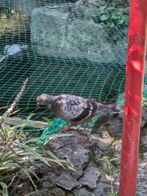 江島杉山神社(東京都)