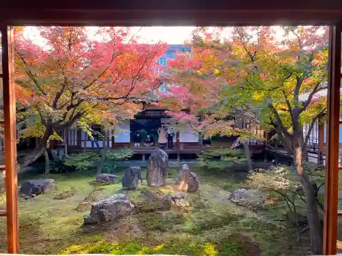 建仁寺（建仁禅寺）の庭園