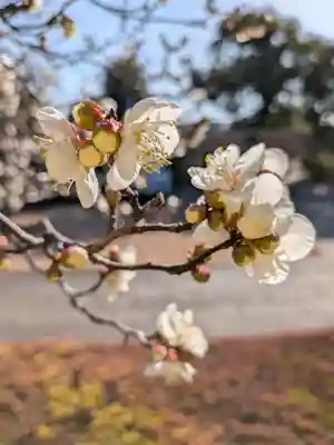 福蔵院(東京都)