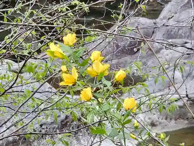 慈雲寺（並び地蔵　化け地蔵）(栃木県)