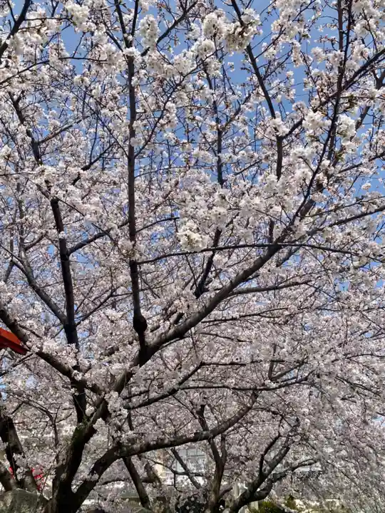 六孫王神社の自然