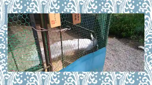 進雄神社(群馬県)