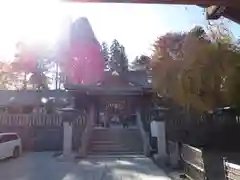 櫻山神社の建物その他