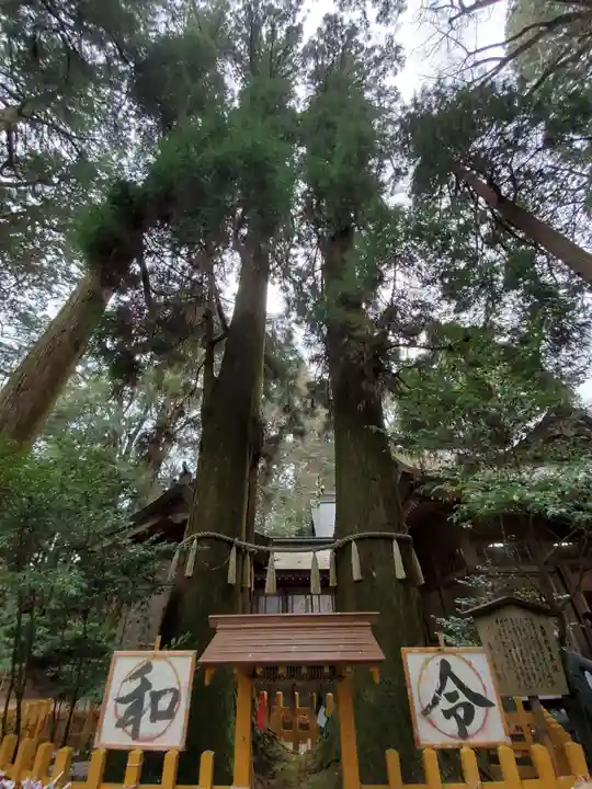 高千穂神社の自然