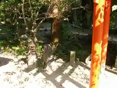 山口大神宮の狛犬