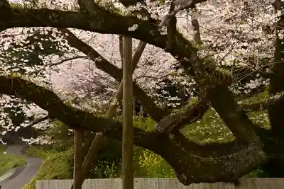 掌禅寺(愛媛県)