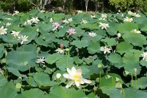 東行庵(山口県)