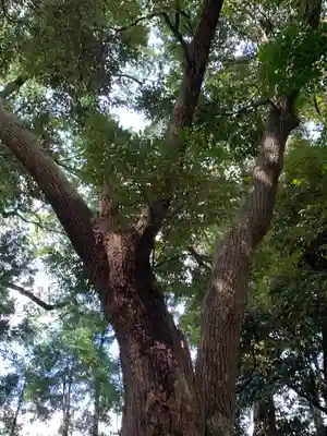 薩都神社(茨城県)
