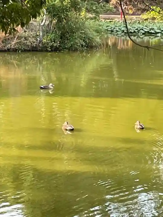 秦楽寺(奈良県)