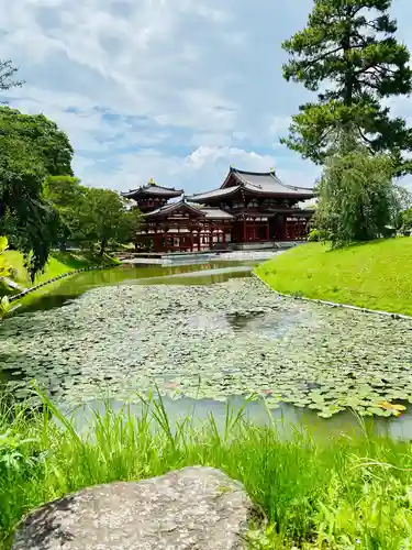 平等院の庭園