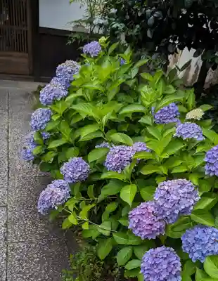 尊陽院(京都府)