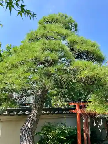 圓眞寺(神奈川県)