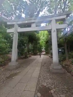 代々木八幡宮の鳥居