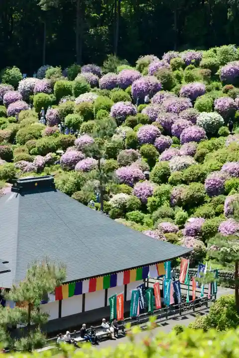 塩船観音寺(東京都)
