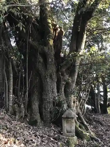 熊野神社のその他建物