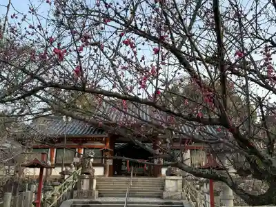 氷室神社の{uncategorized: "未分類", other: "その他", undefined: "問題あり", building: "その他建物", grave: "お墓", sacred_gate: "鳥居", guardian: "狛犬", statue: "像", buddha: "仏像", history: "歴史", nature: "自然", garden: "庭園", animal: "動物", pagoda: "塔", temizu: "手水舎", mountain_gate: "山門・神門", sanctuary: "本殿・本堂", subordinate: "末社・摂社", art: "芸術", scenery: "景色", jizo: "地蔵", ema: "絵馬", goshuin: "御朱印", omikuji: "おみくじ", items: "授与品その他", amulet: "お守り", goshuincho: "御朱印帳", eats: "食事", festival: "お祭り", votive_dance: "神楽", shichigosan: "七五三参", wedding: "結婚式", experience: "体験その他", initially: "初詣", around: "周辺", anti_infection: "感染症対策"}