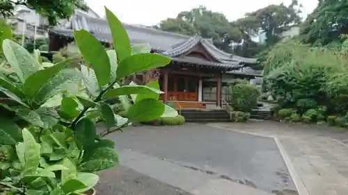 蓮正寺の本殿