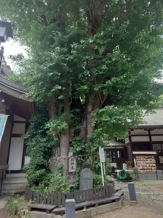 登渡神社(千葉県)