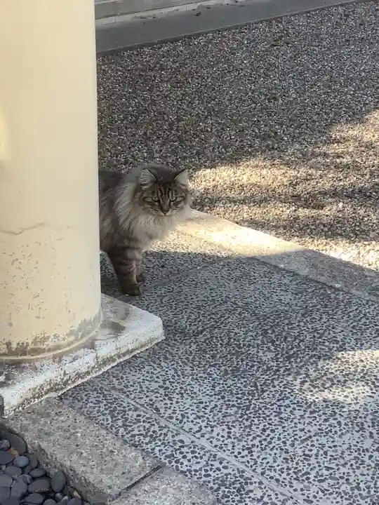 六所社(下飯田)の動物