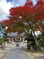 孝勝寺の本殿・本堂