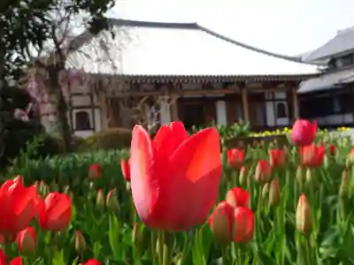 泉蔵寺の本殿・本堂