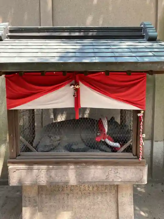 大阪天満宮の狛犬