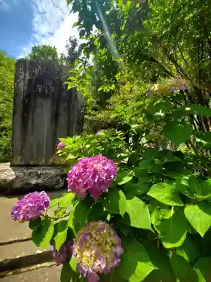 開成山大神宮(福島県)