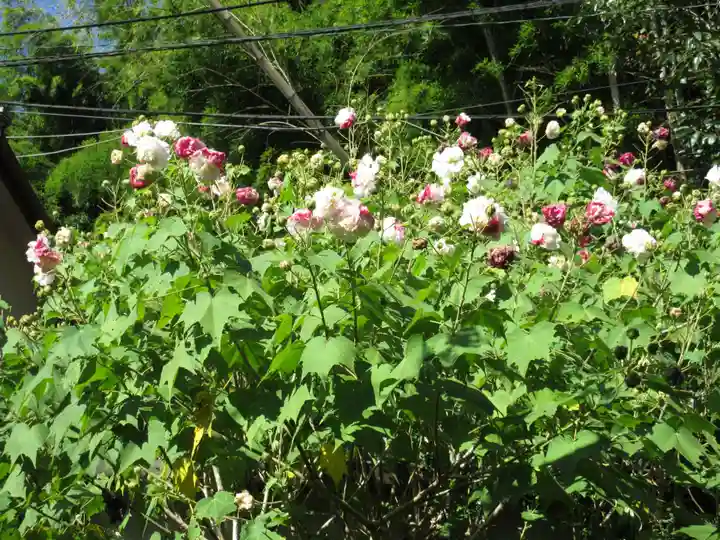 長岳寺(奈良県)