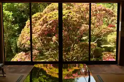 東福寺(徳島県)