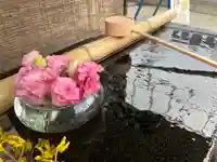 上尾御嶽神社の手水舎